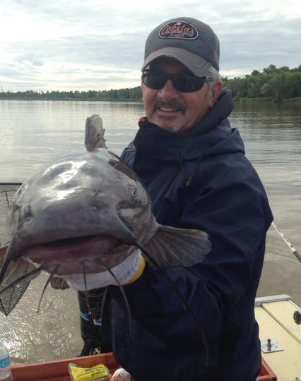 Channel Catfish