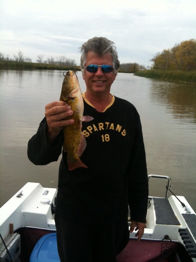 Bullhead