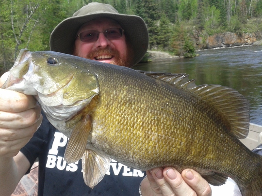 Smallmouth Bass