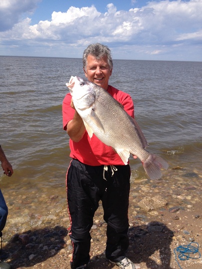 Freshwater Drum