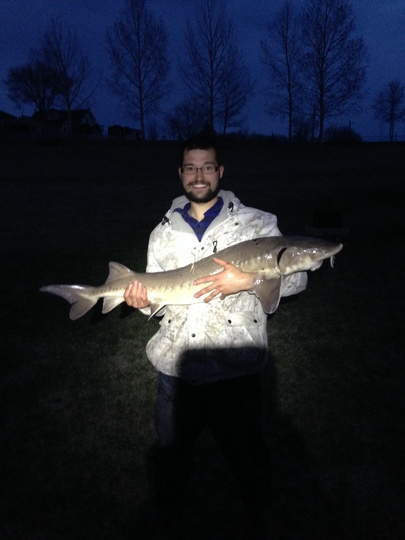 Lake Sturgeon