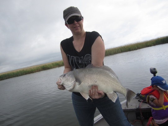 Freshwater Drum