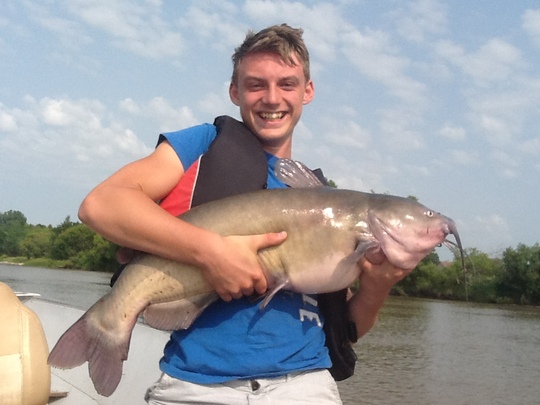 Channel Catfish