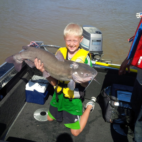 Channel Catfish