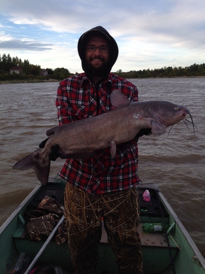 Channel Catfish