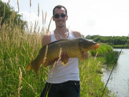 Common Carp