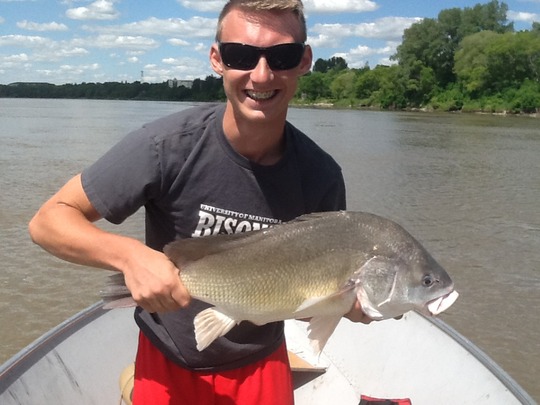 Freshwater Drum