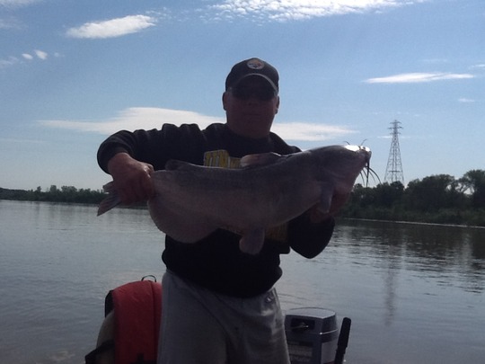 Channel Catfish