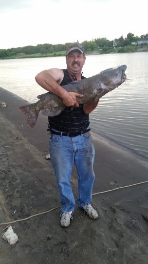 Channel Catfish