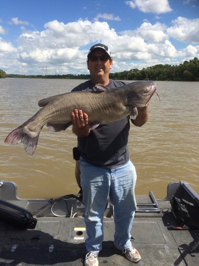 Channel Catfish