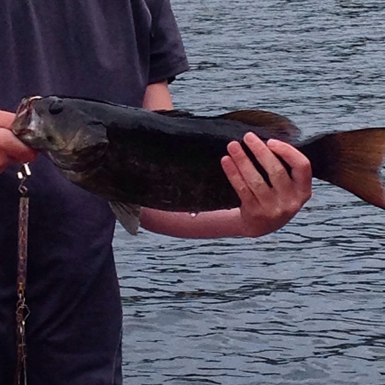 Master Angler Record Book Search