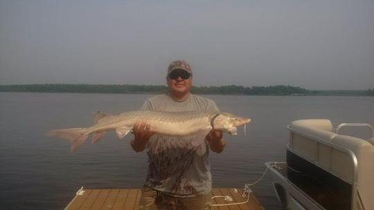 Lake Sturgeon