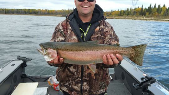 Rainbow Trout