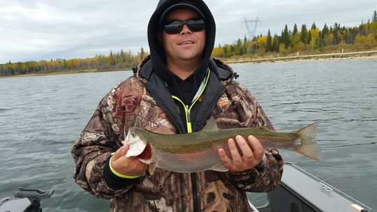 Rainbow Trout