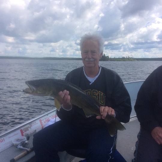 Walleye