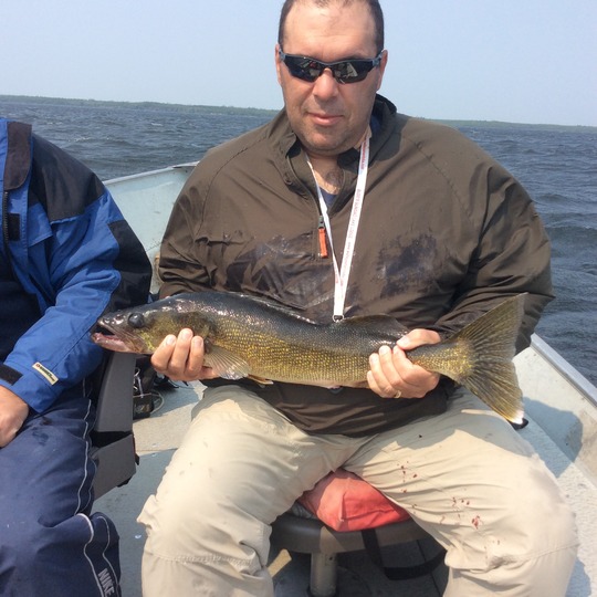 Walleye