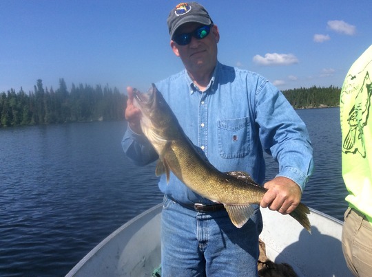 Walleye