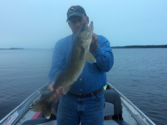 Walleye