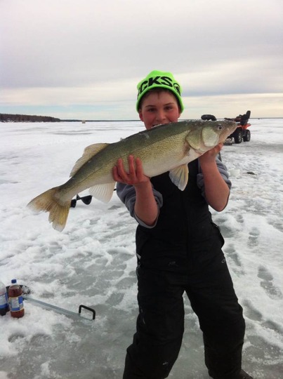 Walleye