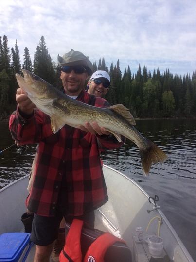 Walleye