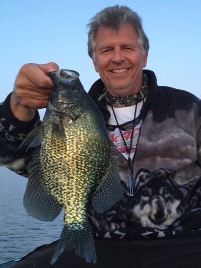 Black Crappie