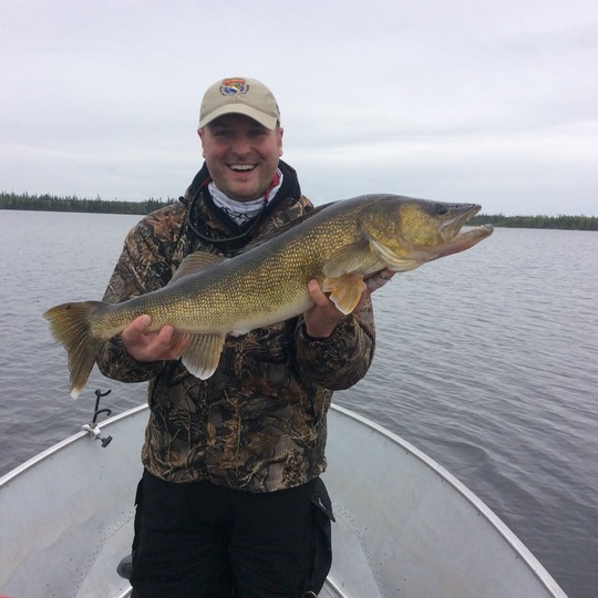 Walleye