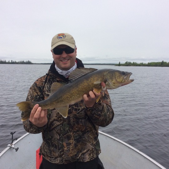 Walleye