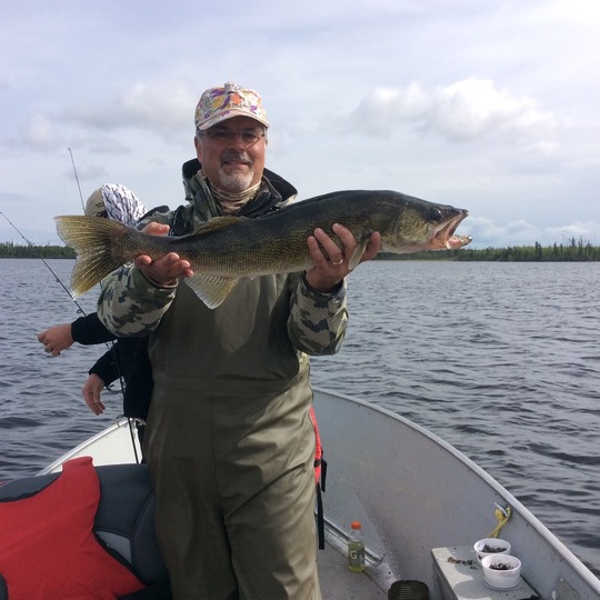 Walleye