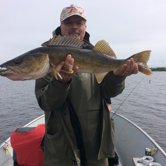 Walleye