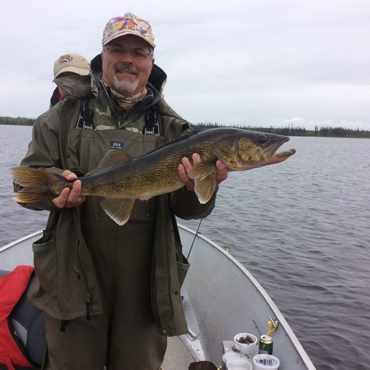 Walleye