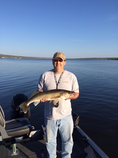 Walleye