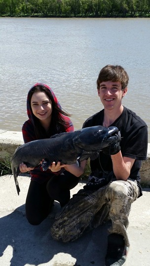 Channel Catfish