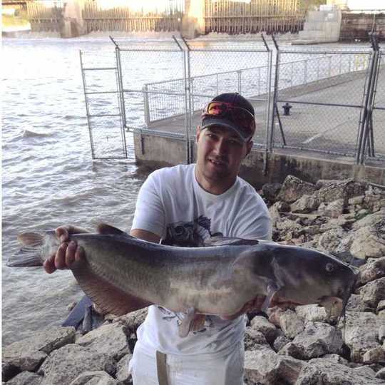 Channel Catfish