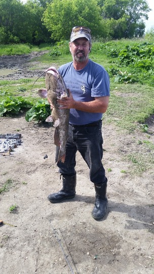 Channel Catfish