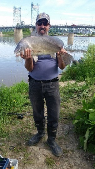 Freshwater Drum