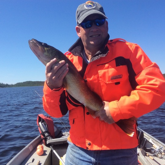Walleye