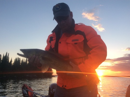 Walleye