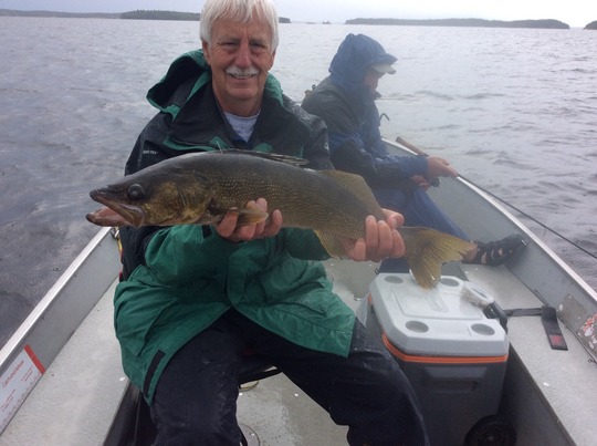Walleye
