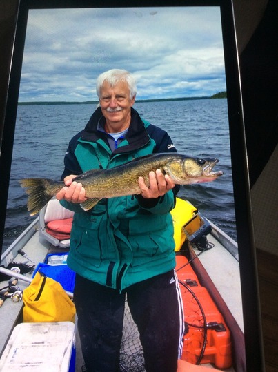 Walleye
