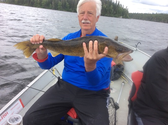 Walleye