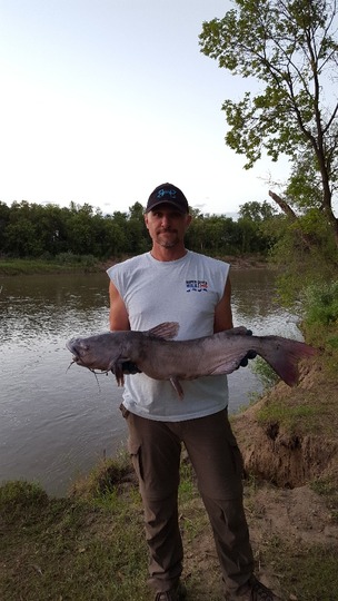 Channel Catfish