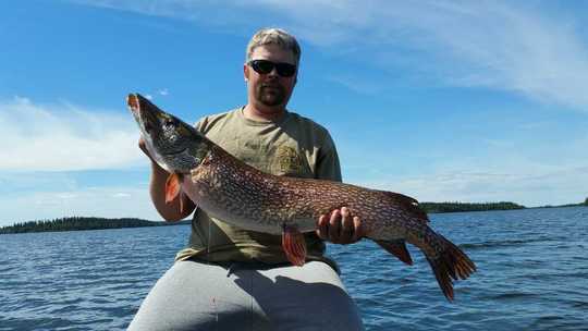 Northern Pike