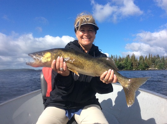 Walleye