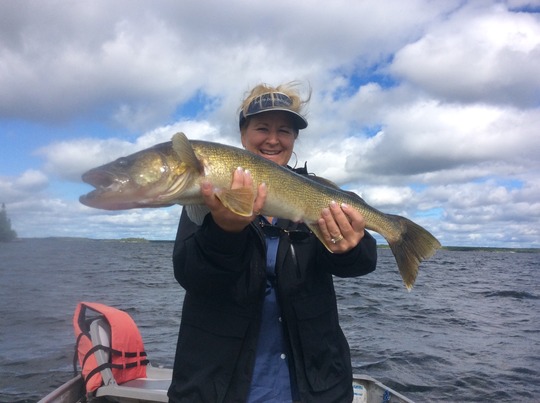 Walleye