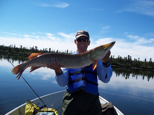 Northern Pike