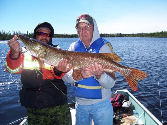 Northern Pike
