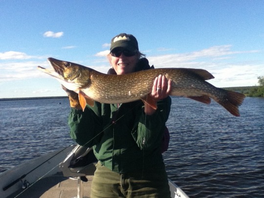 Northern Pike