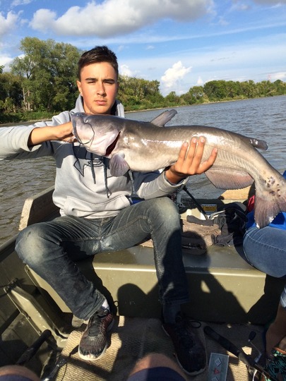 Channel Catfish