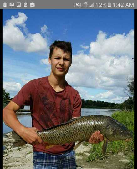 Common Carp