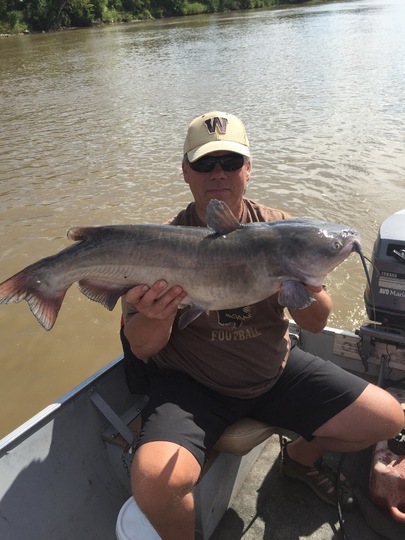 Channel Catfish